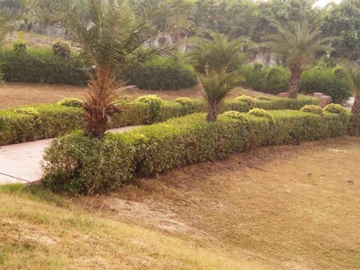 Terreno en Noida, India No. 65806