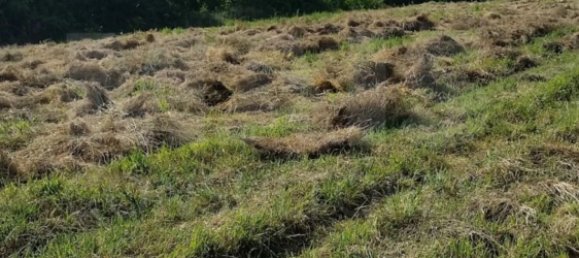Grundstück in Sintra, Portugal 11640m², Nr. 79891 5