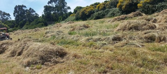 Grundstück in Sintra, Portugal 11640m², Nr. 79891 10