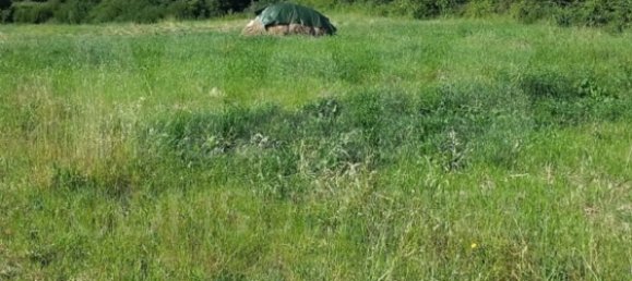 Grundstück in Sintra, Portugal 11640m², Nr. 79891 7