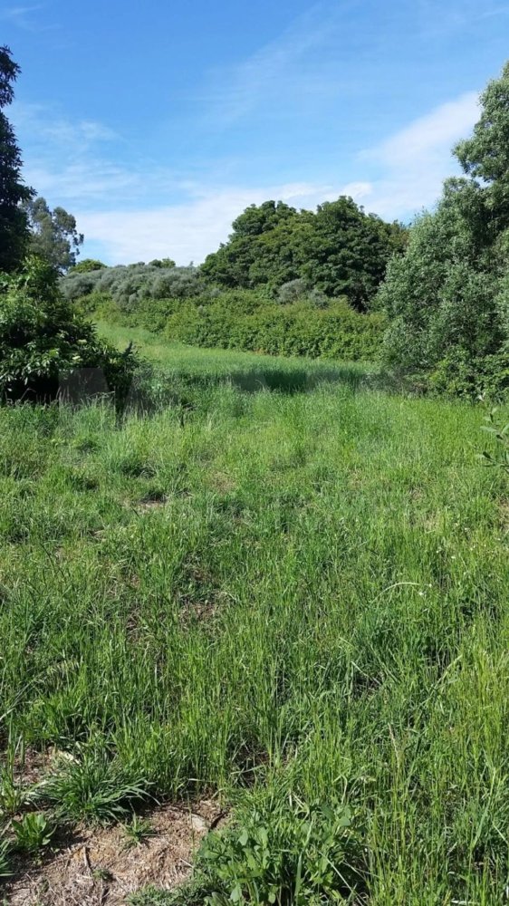 Grundstück in Sintra, Portugal 11640m², Nr. 79891