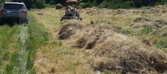 Grundstück in Sintra, Portugal 11640m², Nr. 79891 8
