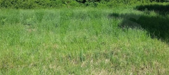 Grundstück in Sintra, Portugal 11640m², Nr. 79891 9