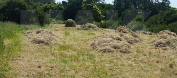 Grundstück in Sintra, Portugal 11640m², Nr. 79891 3