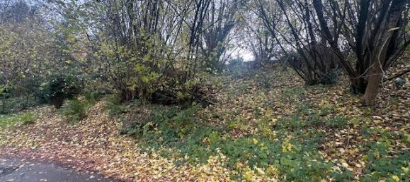  قطعة أرض في Rastatt, Germany رقم 316574 3