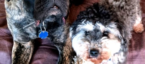 5 غرف نوم تاون هاوس في Limburg-Weilburg, Germany رقم 141636 20