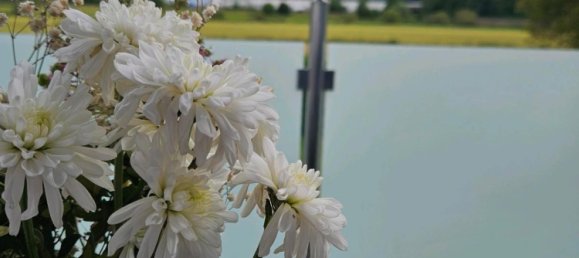 5 غرف نوم تاون هاوس في Limburg-Weilburg, Germany رقم 141636 8