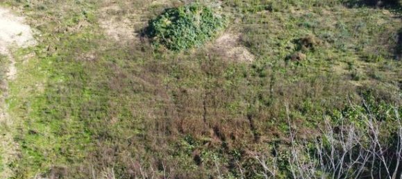 Terreno em Speloncato, France 1964 m² N.º 303110 6