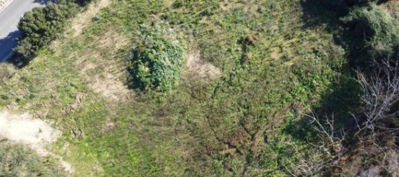 Terreno em Speloncato, France 1964 m² N.º 303110 5