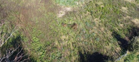 Terreno em Speloncato, France 1964 m² N.º 303110 7