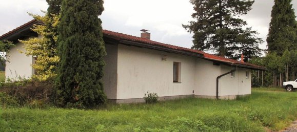 Коммерческая недвижимость 1248м² в Гросдитманс, Австрия № 131090 4