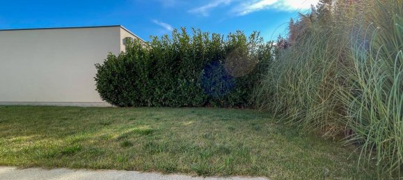 5 Schlafzimmer Bungalow in Neufeld an der Leitha, Austria, Nr. 119861 12