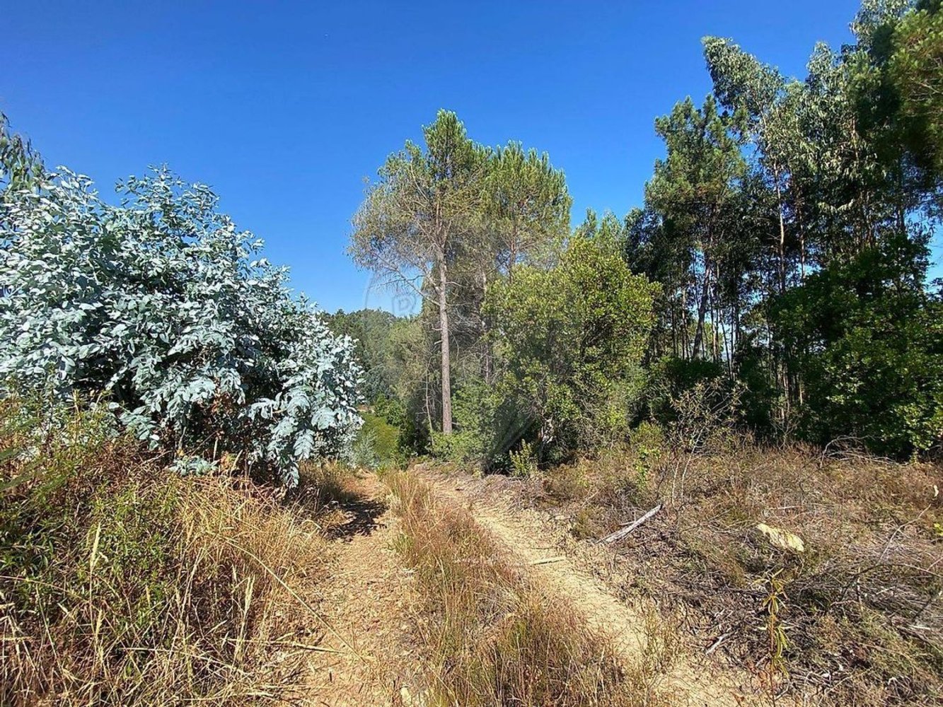  Land in Arganil, Portugal No. 280992