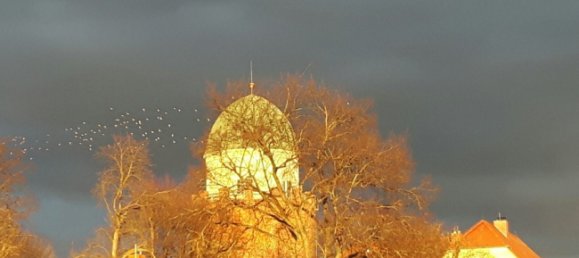 Edifício de 5 divisões em Wolfenbuttel, Germany N.º 143233 23