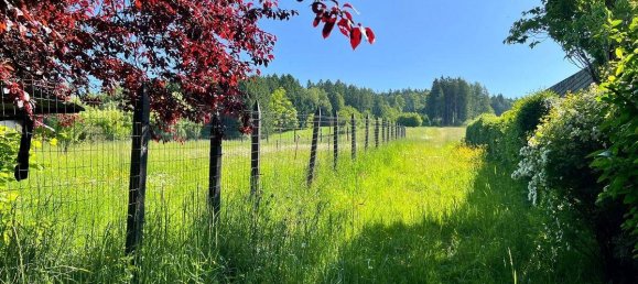 Casa de 4 habitaciónes en Kollerschlag, Austria No. 174276 7