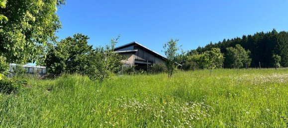 Casa de 4 habitaciónes en Kollerschlag, Austria No. 174276 6