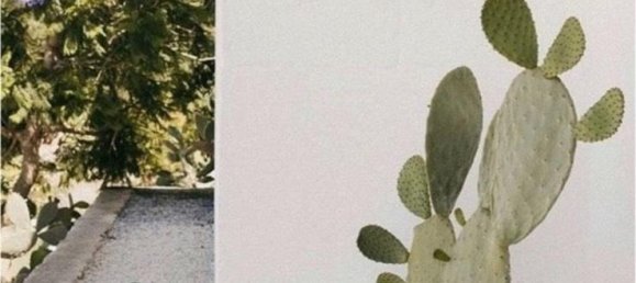 2 chambres Maison à Rhein-Neckar-Kreis, Germany No. 243389 6