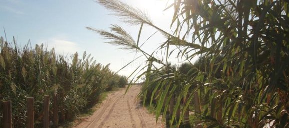 Ático de 4 dormitorios en Guardamar del Segura, Spain No. 118548 17