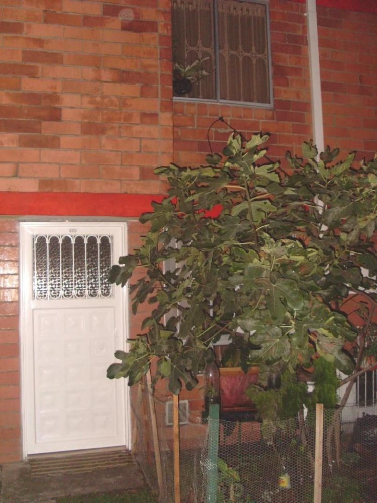 4 bedrooms House in Bogota, Colombia No. 14748