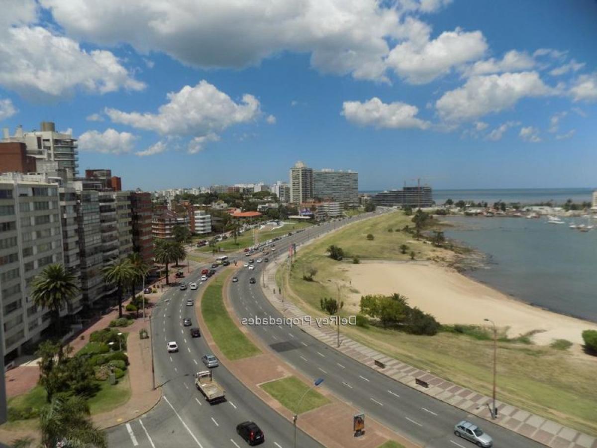 3 Schlafzimmer Wohnung in Montevideo, Uruguay, Nr. 2945
