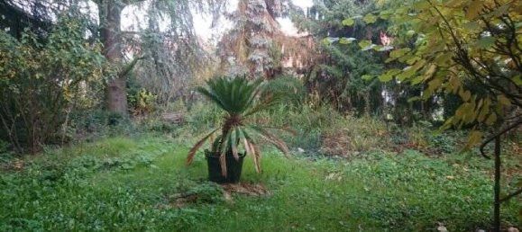 8غرفة منزل في Landau in der Pfalz, Germany رقم 46442 9