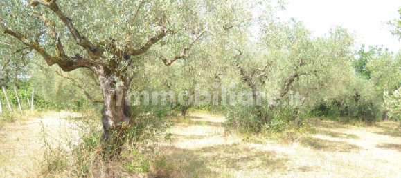 40000m² Land in Sant'Agata de' Goti, Italy No. 342668 4