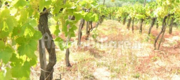 40000m² Land in Sant'Agata de' Goti, Italy No. 342668 5