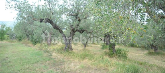 40000m² Land in Sant'Agata de' Goti, Italy No. 342668 2