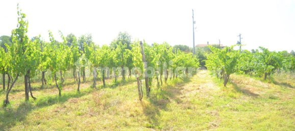 40000m² Land in Sant'Agata de' Goti, Italy No. 342668 6