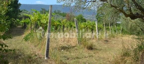 40000m² Land in Sant'Agata de' Goti, Italy No. 342668 3