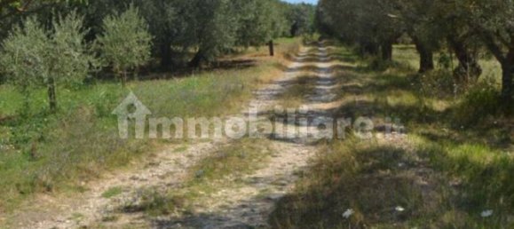 40000m² Land in Sant'Agata de' Goti, Italy No. 342668 14