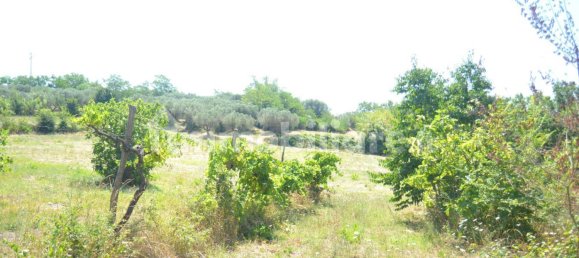 40000m² Land in Sant'Agata de' Goti, Italy No. 342668 17