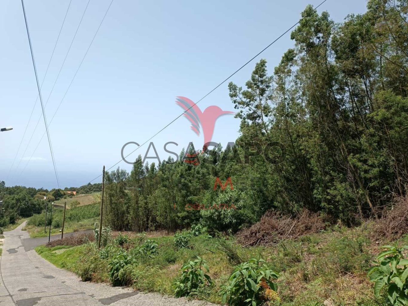  Land in Quarteira, Portugal No. 196977