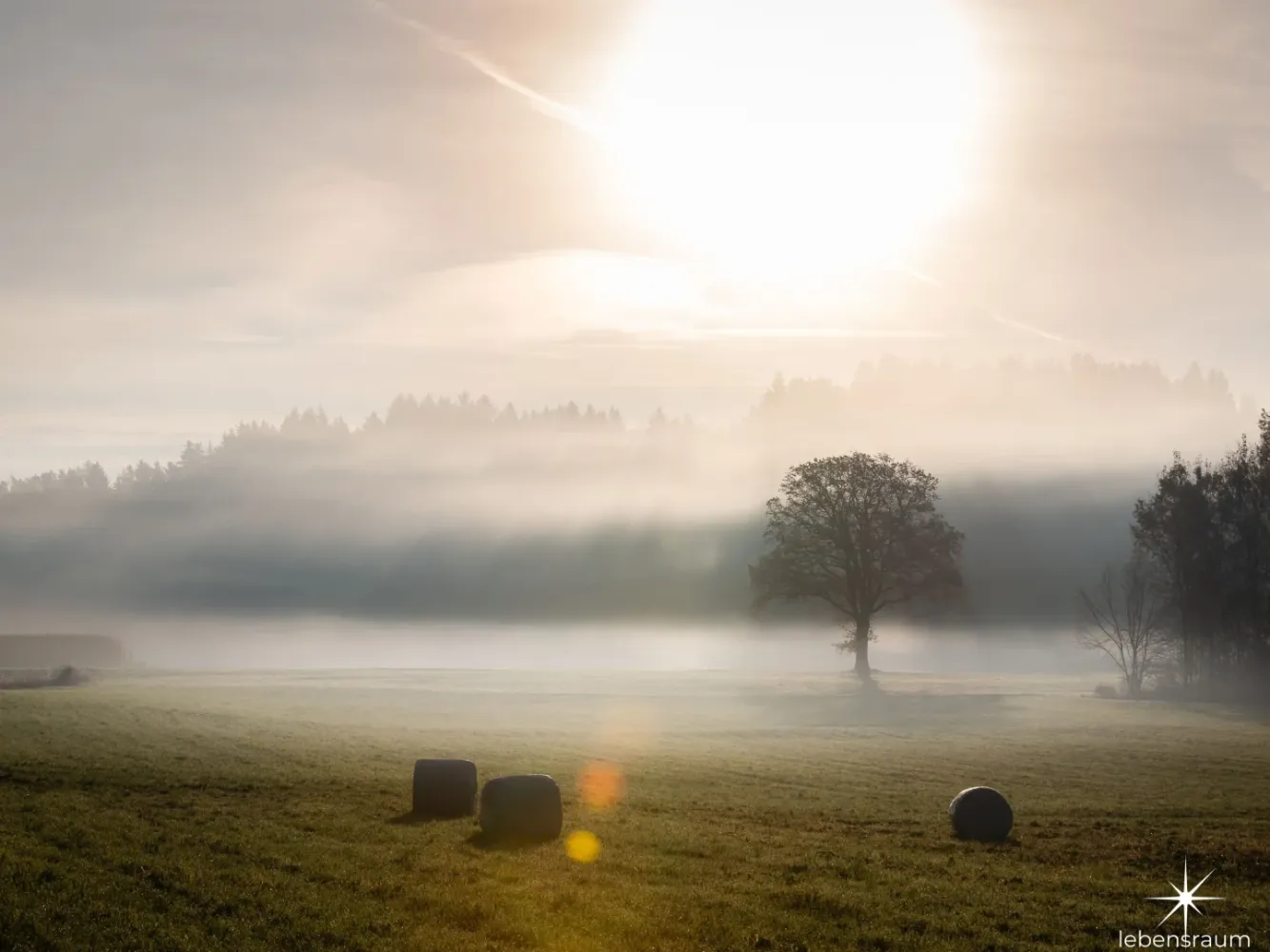 Grundstück in Moosburg, Austria 5020m², Nr. 196860
