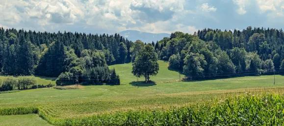 Grundstück in Moosburg, Austria 5020m², Nr. 196860 4