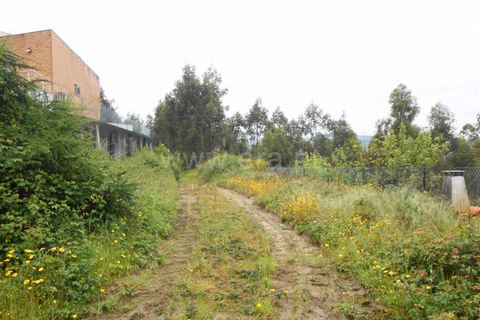  Land in Barcelos, Portugal No. 202307