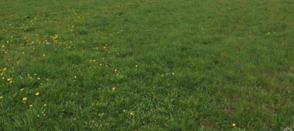 Terreno em Weisskirchen in Steiermark, Austria 1122 m² N.º 235924 2