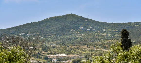 30 غرف نوم منزل في Faro, Portugal رقم 149361 44