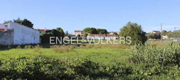 6920m² Land in Loures, Portugal No. 132422 11