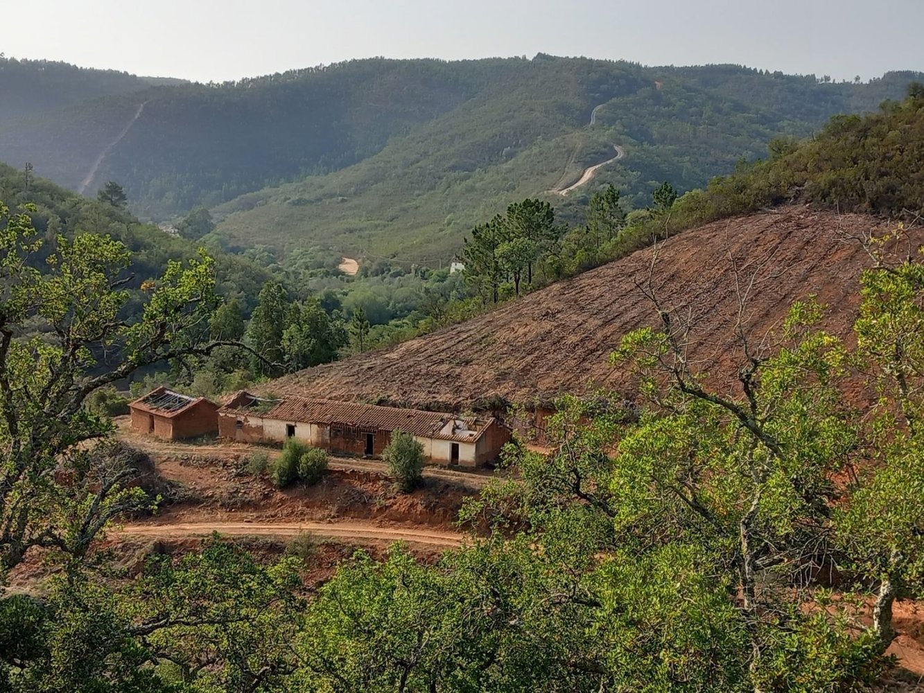 Grundstück in Sao Teotonio, Portugal, Nr. 331723