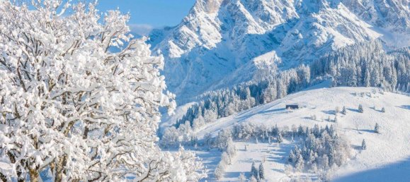 Casa de 7 divisões em Maria Alm am Steinernen Meer, Austria N.º 31709 6