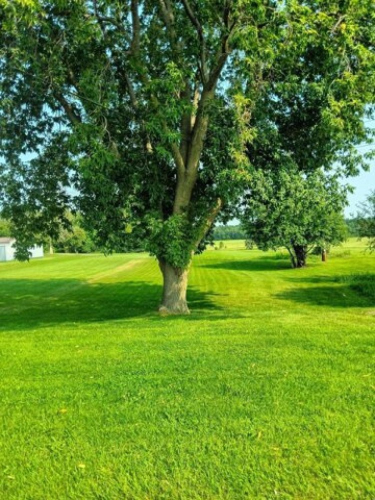  Land in Massena, USA No. 534456