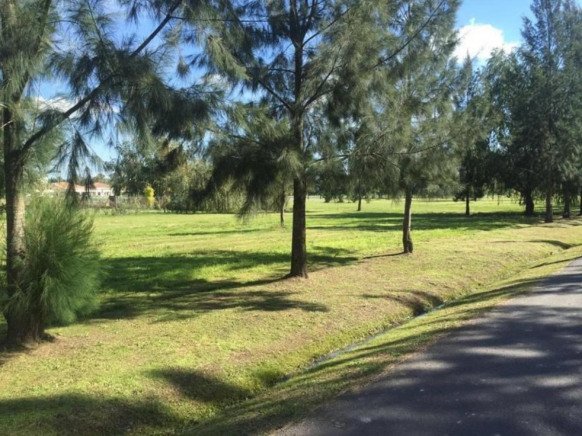  Land in Campo Creado, Argentina No. 111314