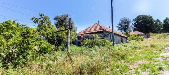 3 chambres Maison à Penafiel, Portugal No. 56515 8