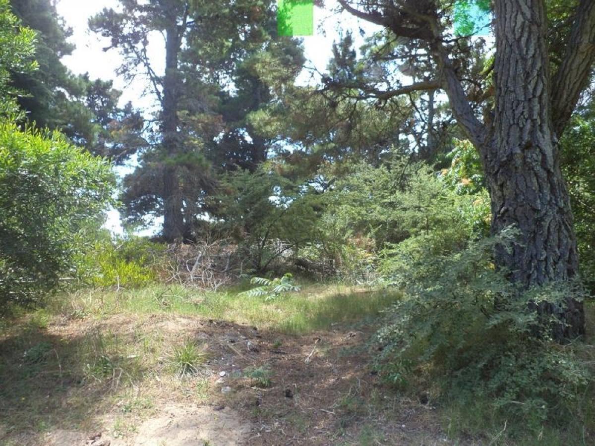  Land in Mar del Plata, Argentina No. 112244