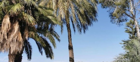 Apartamento de 2 dormitorios en Dehesa De Campoamor, Spain No. 186347 32