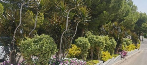 Apartamento de 2 dormitorios en Dehesa De Campoamor, Spain No. 186347 31