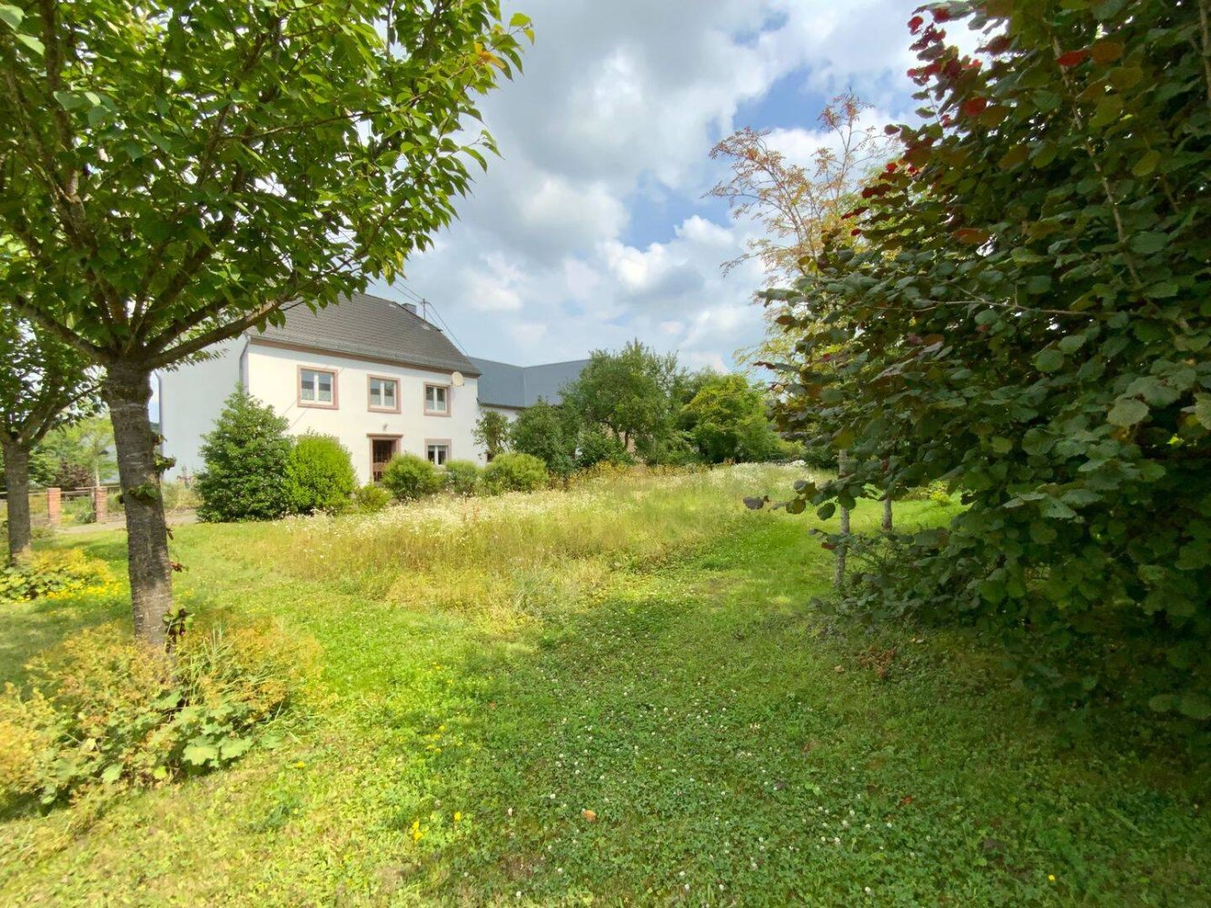 4 bedrooms House in Rhineland-Palatinate, Germany No. 263130