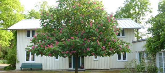 Villa de 4 dormitorios en Celle, Germany No. 218413 6