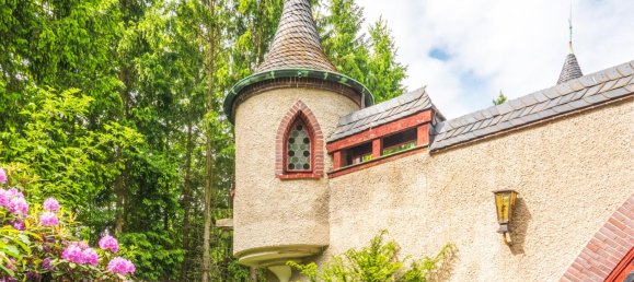 13 Schlafzimmer Villa in Mittelsachsen, Germany, Nr. 284184 4